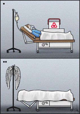 Angel Wings, de M.zeber