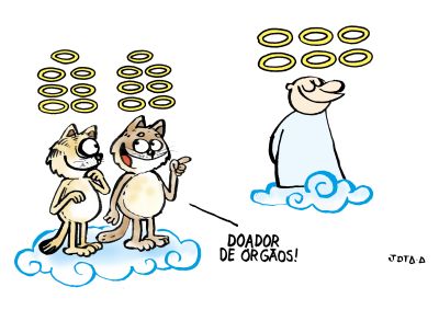 7 Vidas, de Jota A